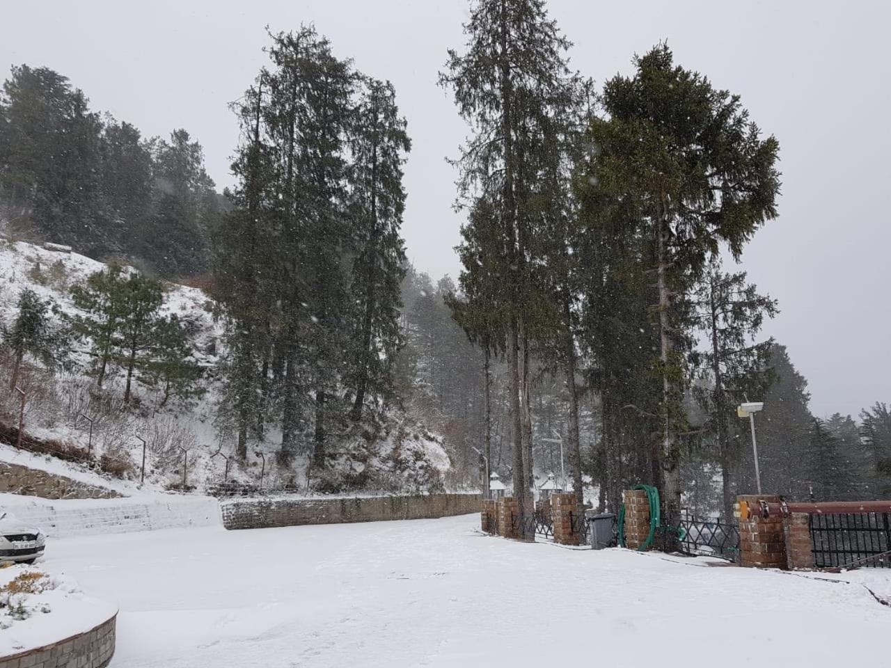 Royal Tulip Luxury Hotel, Kufri, Shimla Esterno foto